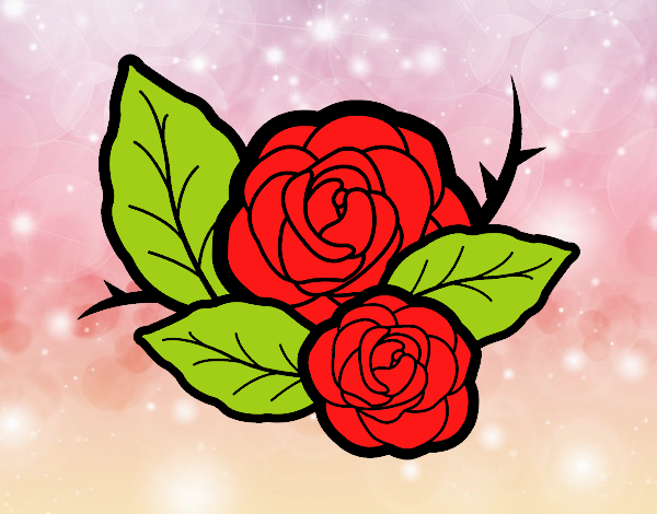 Mi rosa