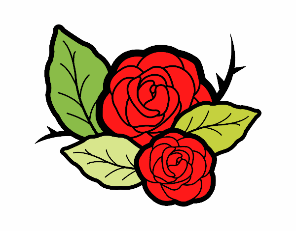 Dos rosas