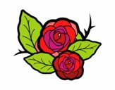 Dos rosas