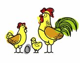 Familia gallina