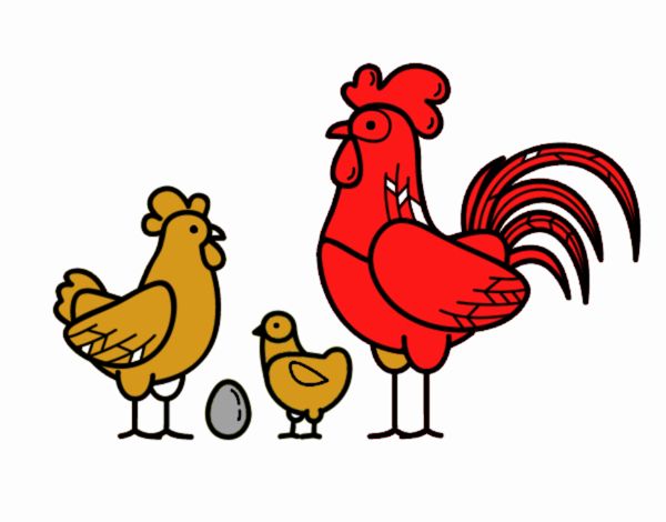 Familia gallina