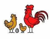 Familia gallina