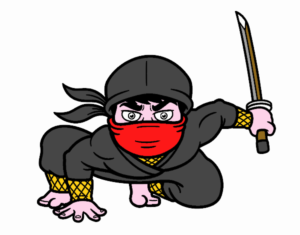 Ninja japonés