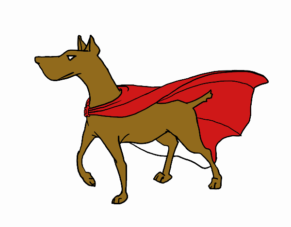 Perro superhéroe