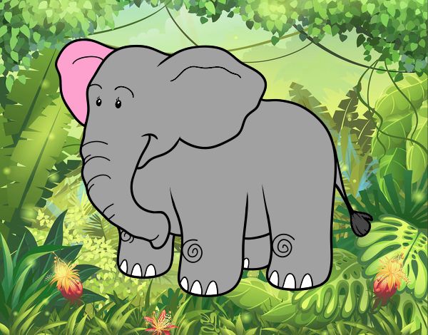 Un elefante africano