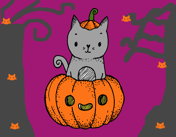 Halloween Gatuno