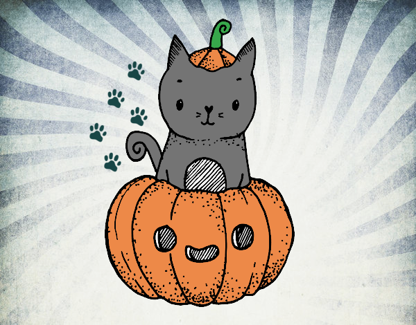 Un gatito de Halloween