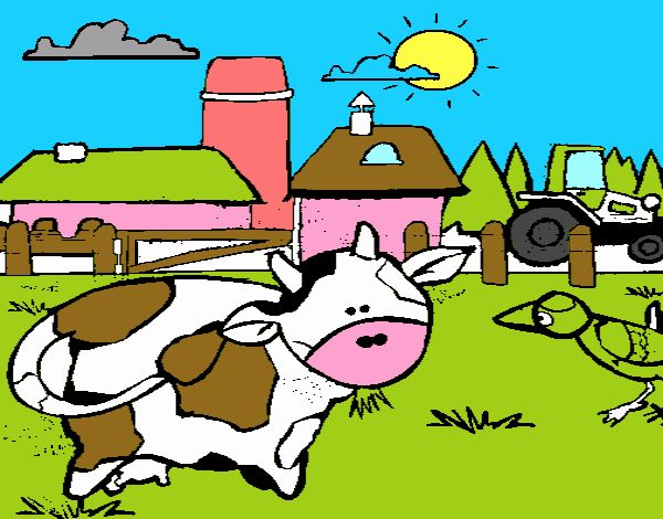 Vaca en la granja