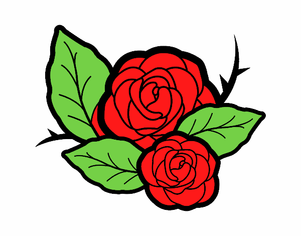 Dos rosas