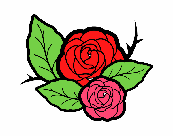 Dos rosas