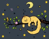 El gato y la luna