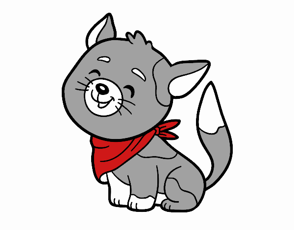 Gato con bandana