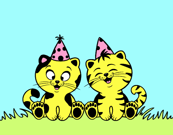 Gatos de cumpleaños