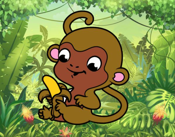 Monito con plátano