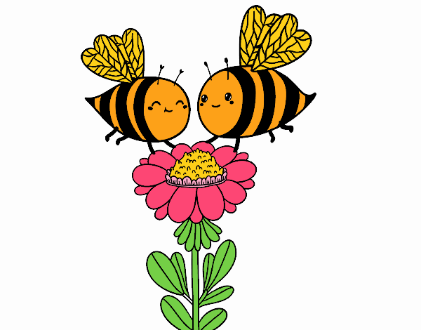 Pareja de abejas