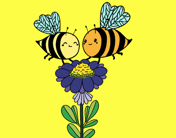 Pareja de abejas