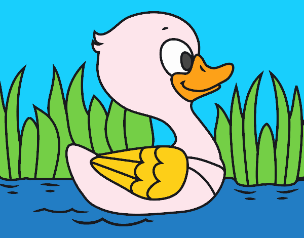 Patito de río