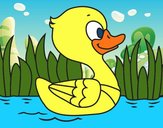 Patito de río