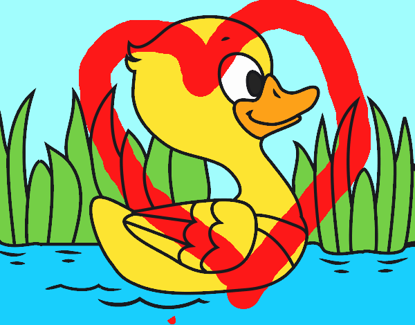 Patito de río