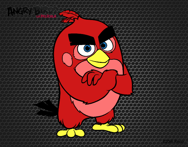 Red de Angry Birds