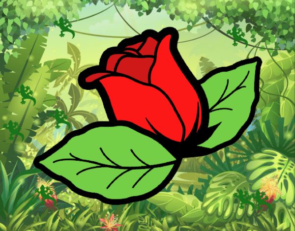 La rosa roja