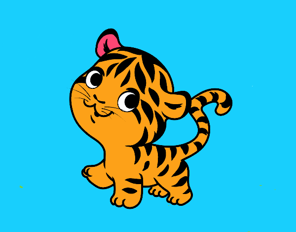 Tigre bebé