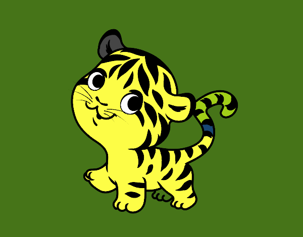 Tigre bebé