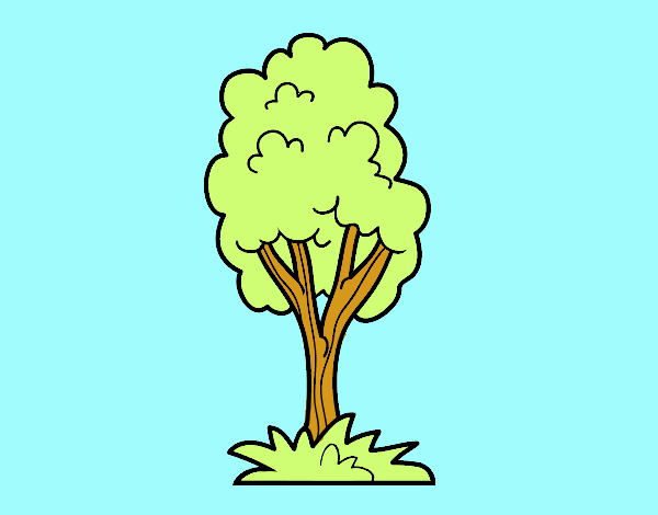 Un árbol de parque