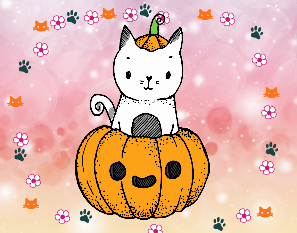 Un gatito de Halloween