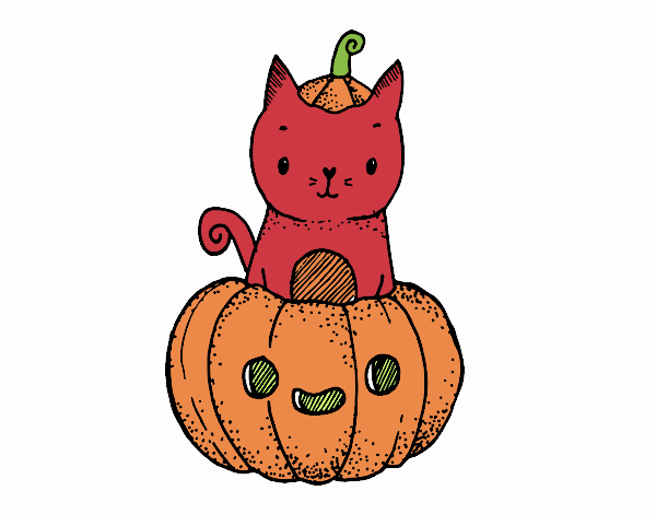 halloween kitty