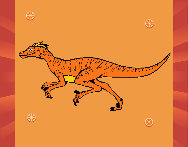 Velociraptor