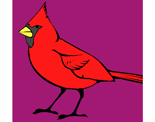 Cardinal