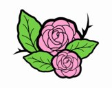 Dos rosas