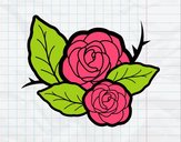 Dos rosas