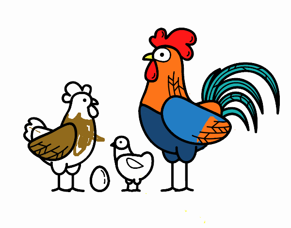 Familia gallina