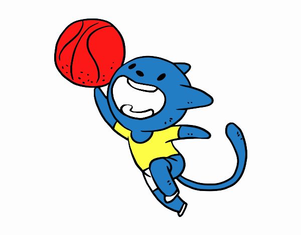 Gato jugando a baloncesto