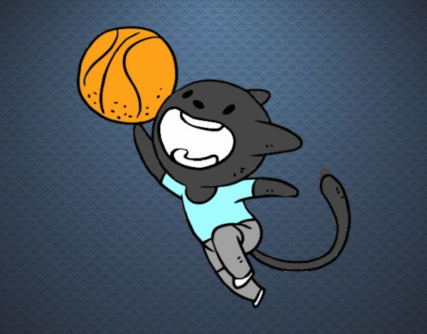 Gato jugando a baloncesto