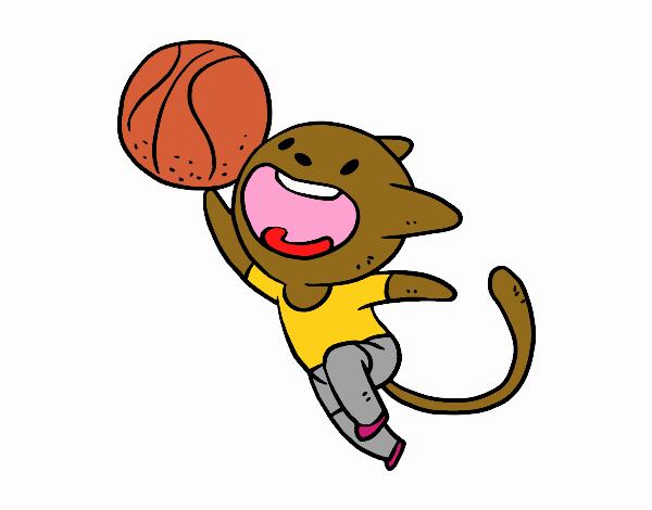 Gato jugando a baloncesto