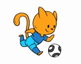 Gato jugando a fútbol