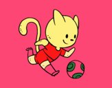 Gato jugando a fútbol