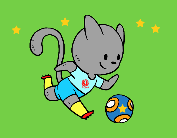 Gato jugando a fútbol