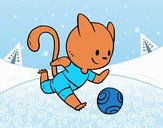 Gato jugando a fútbol