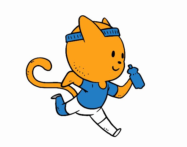 Gato runner