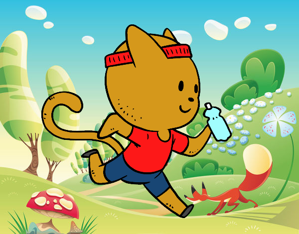 Gato runner