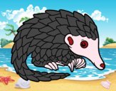 Pangolin