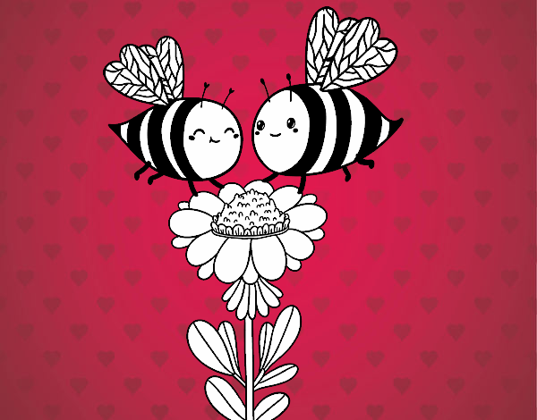 Pareja de abejas