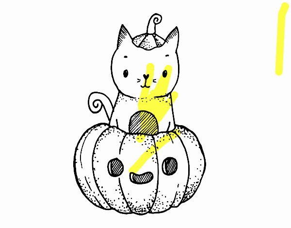 Un gatito de Halloween