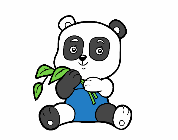 Un oso panda