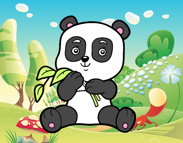 Un oso panda