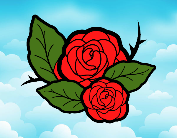 Dos rosas